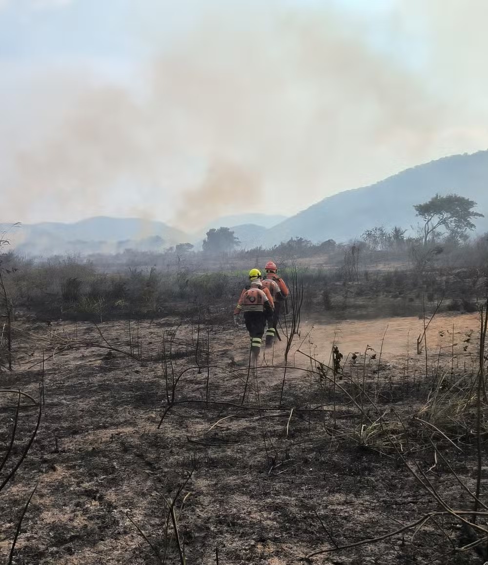 Inc Ndios Destroem Mais De Mil Hectares No Pantanal Rede Jota Fm