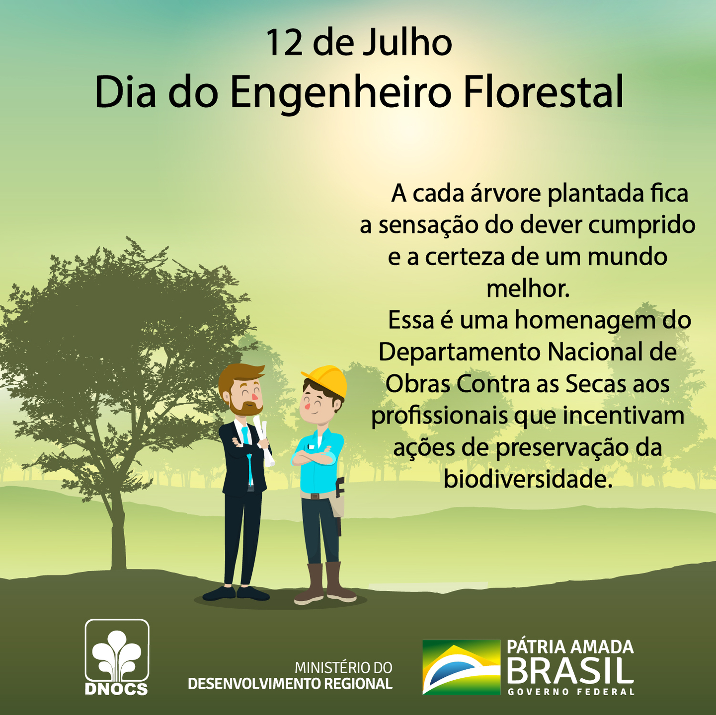 Dia Do Engenheiro Florestal Reconhecendo A Import Ncia Da Conserva O Ambiental Rede Jota Fm